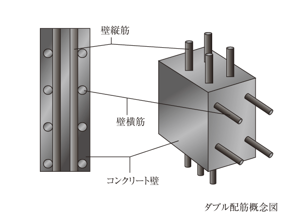 Building structure.  [Wall double reinforcement] Vertical structure ・ Outside the rebar that has been assembled in the transverse ・ By Haisuji inside and double, To suppress the cracks of the wall, It can increase durability compared to a single distribution muscle by increasing the strength. (Except for some) (conceptual diagram)