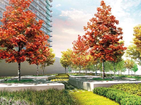 Shared facilities. Bosque Rendering of autumn