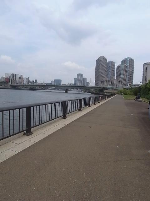 Streets around. 120m to the Sumida River Terrace