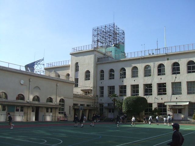 Primary school. 186m to the center Ward Central Elementary School (elementary school)