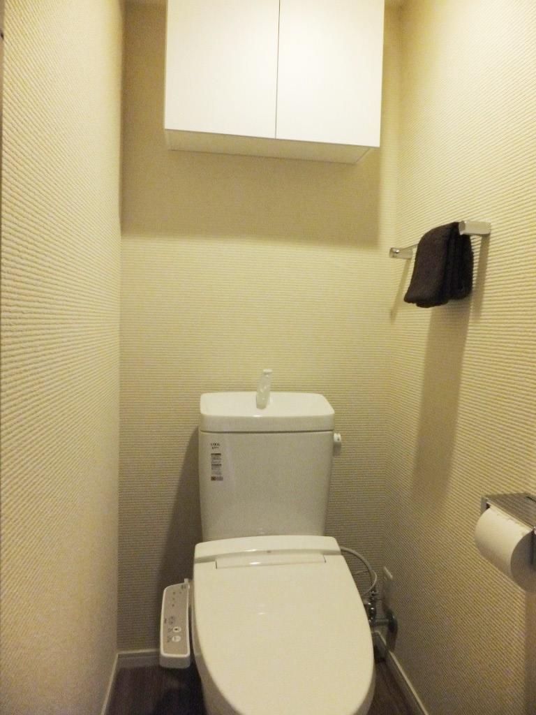 Toilet. Indoor (11 May 2013) Shooting