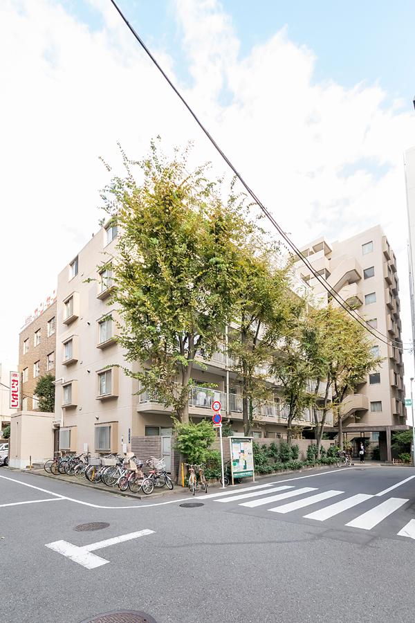 Nihonbashi, Chuo-ku, Tokyo Nakasu