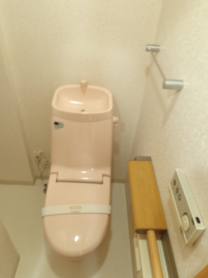 Toilet. Toilet