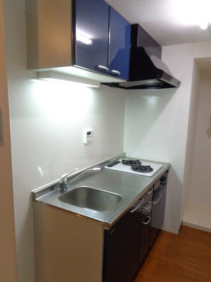 Kitchen. System kitchen