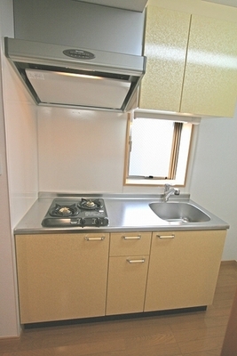 Kitchen. Two-burner gas stove with a kitchen