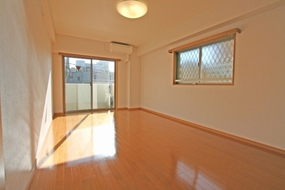 Living and room. Bright living room of the two-sided lighting