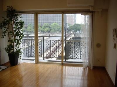 Living. Living the plugging of light.