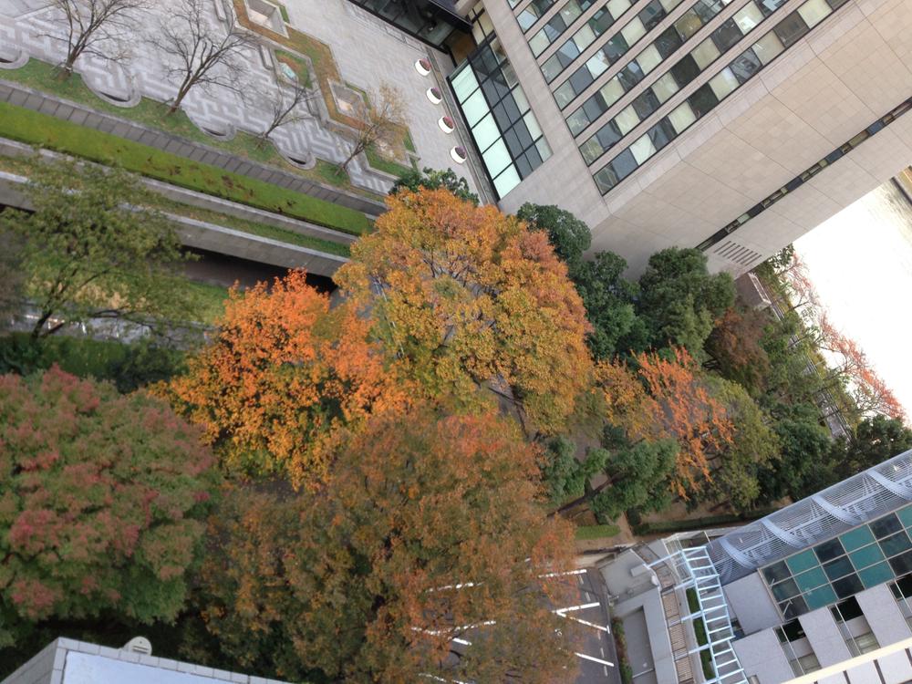 View photos from the dwelling unit. Cherry blossoms in spring, Autumn leaves in the fall makes you feel the season.