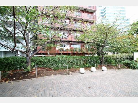Local appearance photo. Property seen from the adjacent park Shinkawa! The surrounding environment is also good!