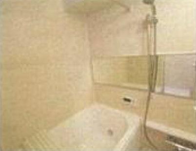 Bathroom. Bathroom of the same specification!