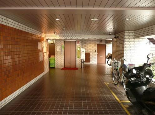 Entrance. Common areas