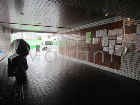 Entrance. Common areas