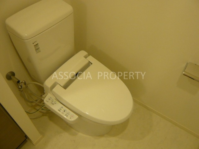 Toilet. The same type model room