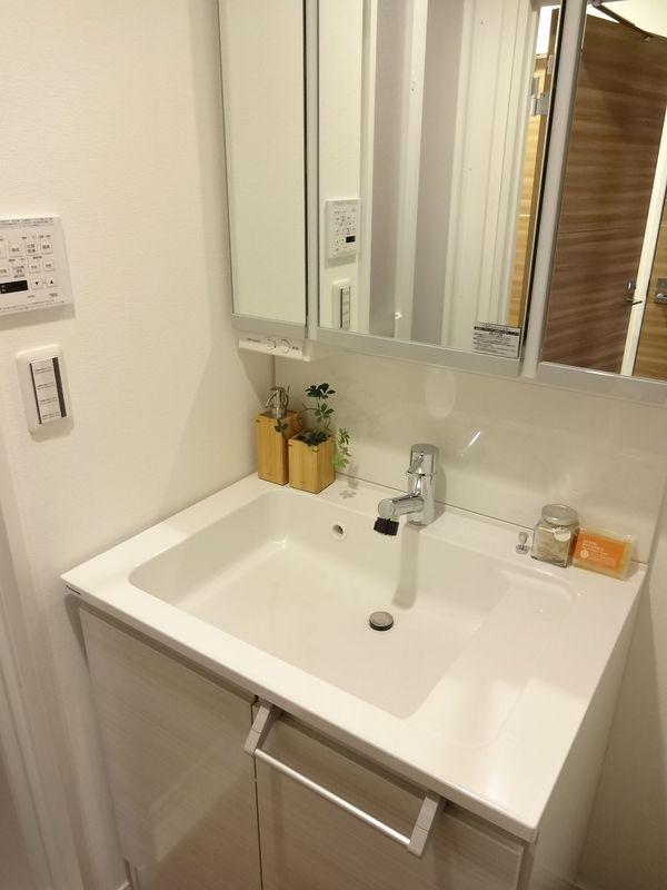 Wash basin, toilet. Bathroom vanity