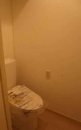 Toilet. New exchanged toilet.