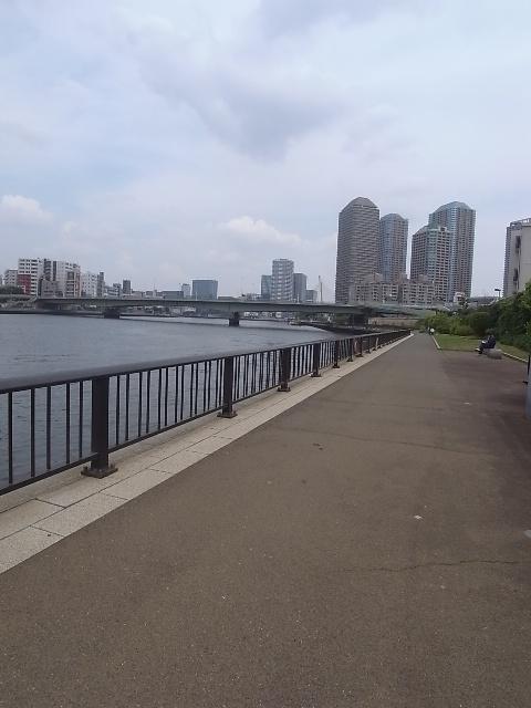 Other Environmental Photo. 10m to the Sumida River Terrace