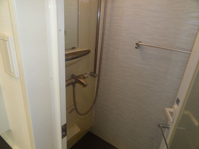 Bath. shower room