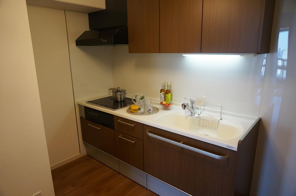 Kitchen. Indoor (12 May 2013) Shooting