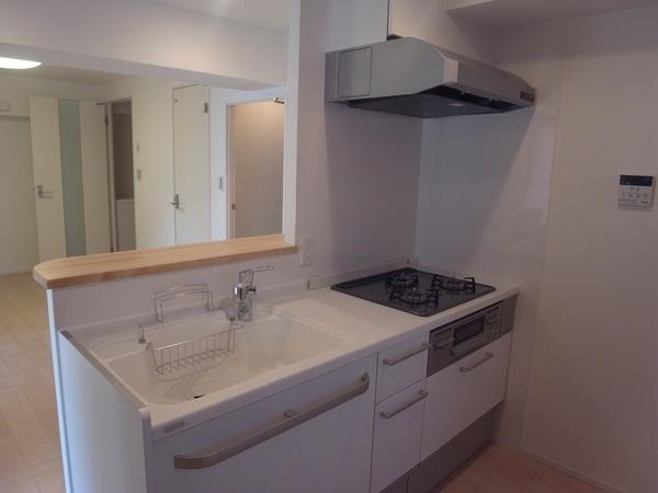 Kitchen. System counter kitchen new exchange.