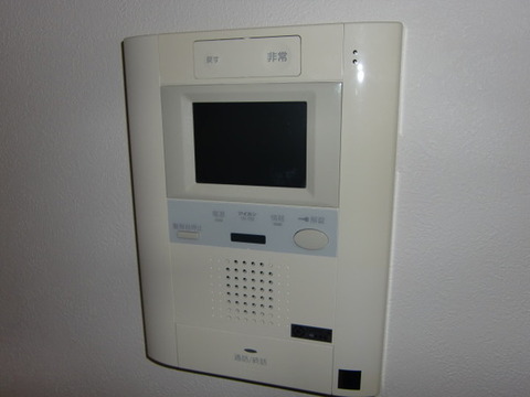 Security. Monitor with intercom