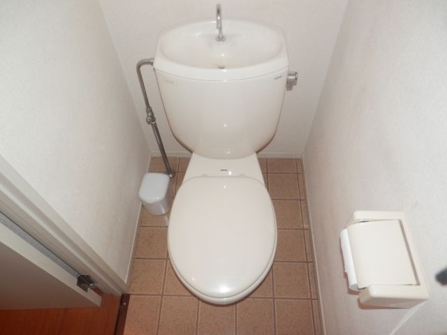 Toilet. Toilet