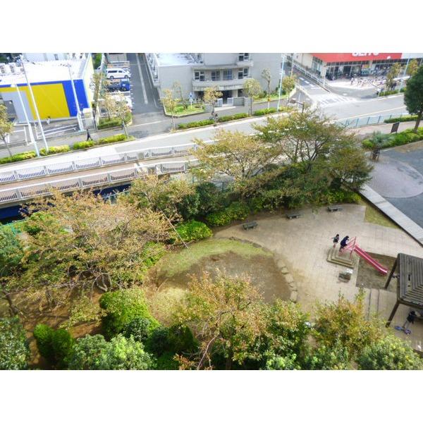 Other introspection. View