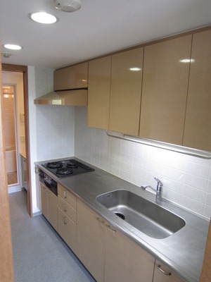 Kitchen. Housed many sink large kitchen