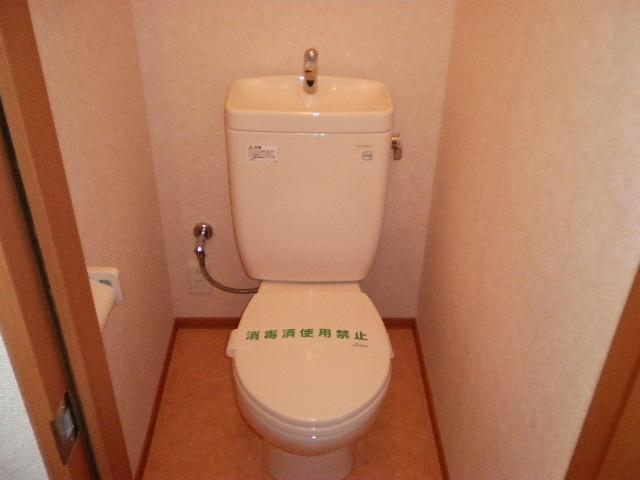 Toilet. Toilet
