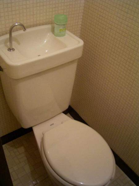Toilet