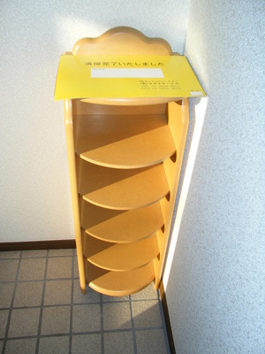 Entrance. Shoe box