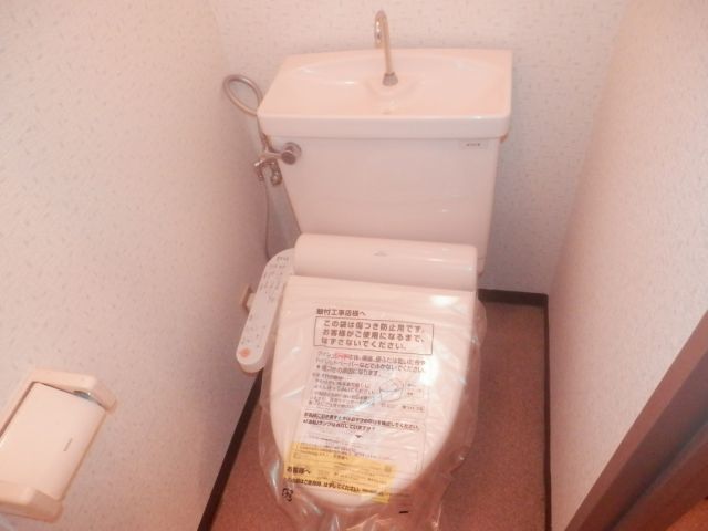 Toilet. Toilet