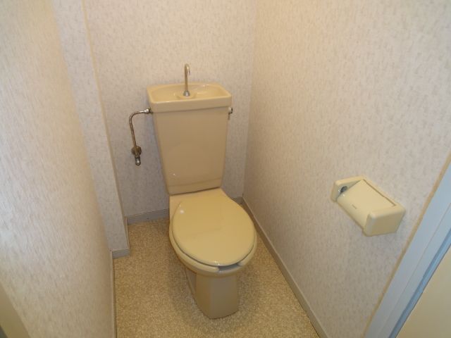 Toilet. Toilet