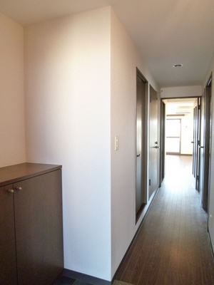 Entrance. Corridor