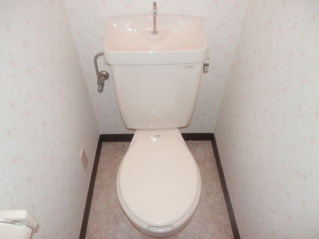 Toilet. Toilet