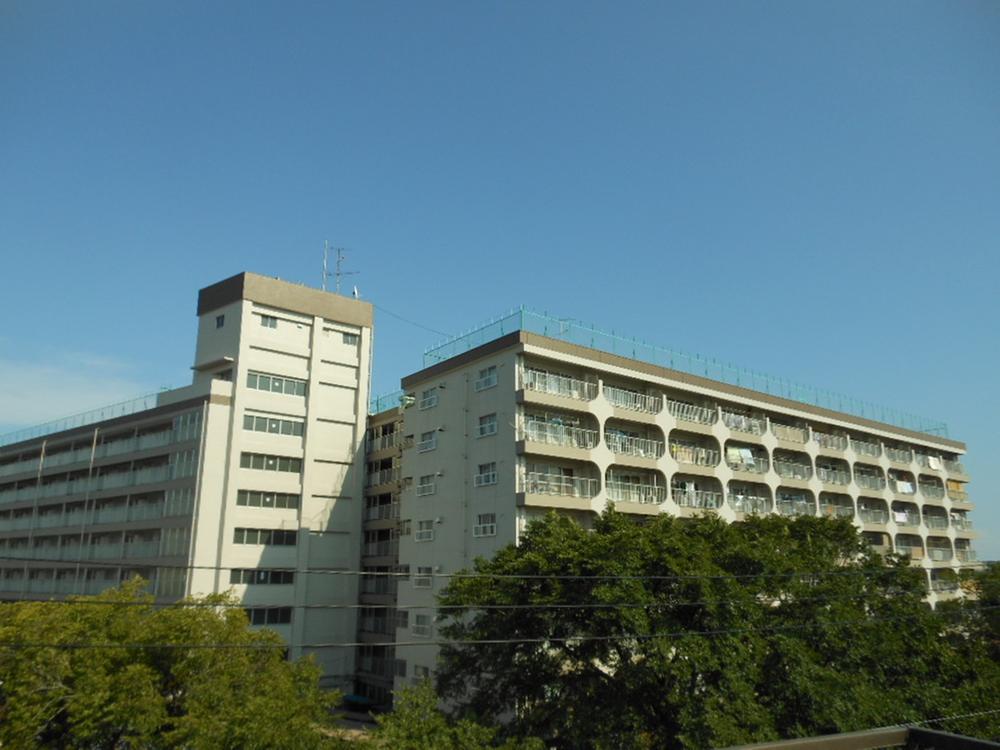 Local appearance photo. This appearance was seen in the water park over