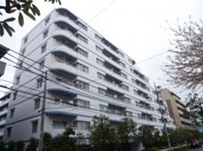 Local appearance photo. Local (11 May 2013) Shooting