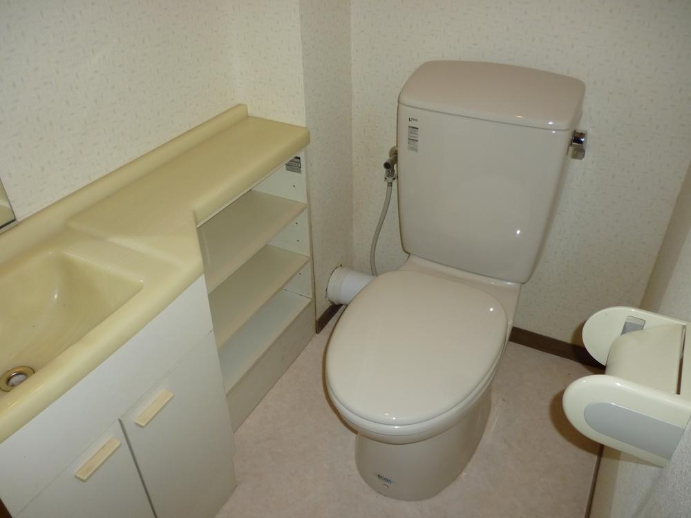 Other. With hand washing counter to the toilet