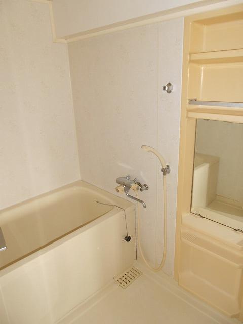 Bathroom. Indoor (10 May 2013) Shooting