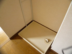 Other. It will be in the washing machine Storage.