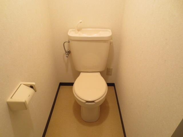 Toilet. Toilet