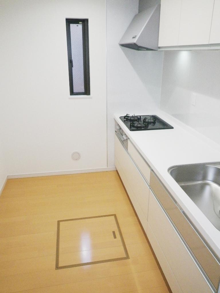 Kitchen. Spacious kitchen, It will be face-to-face kitchen water purifier visceral