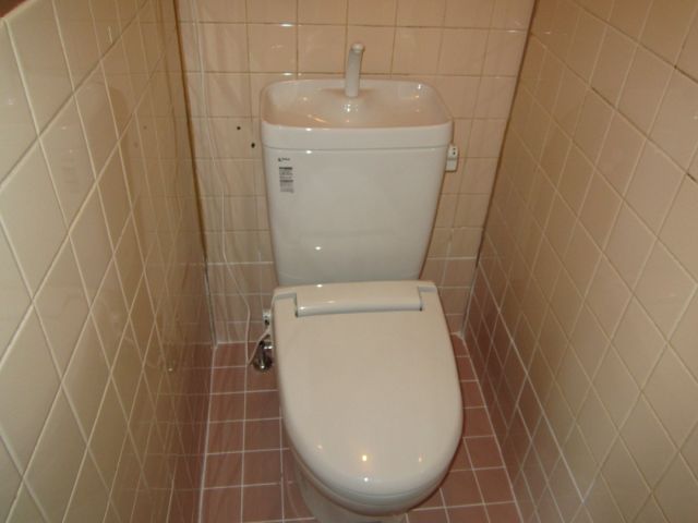 Toilet. Toilet