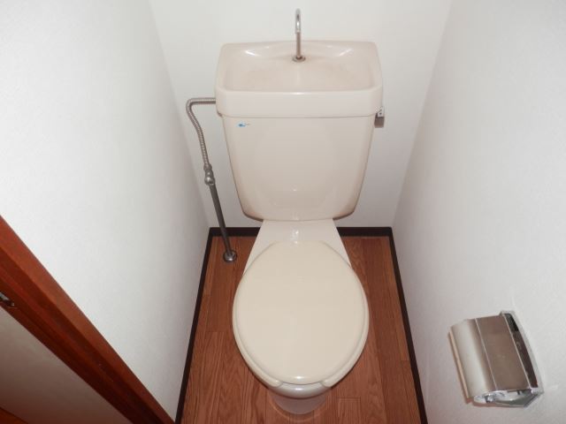 Toilet. Toilet