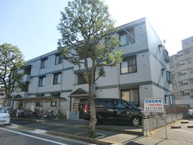 Building appearance