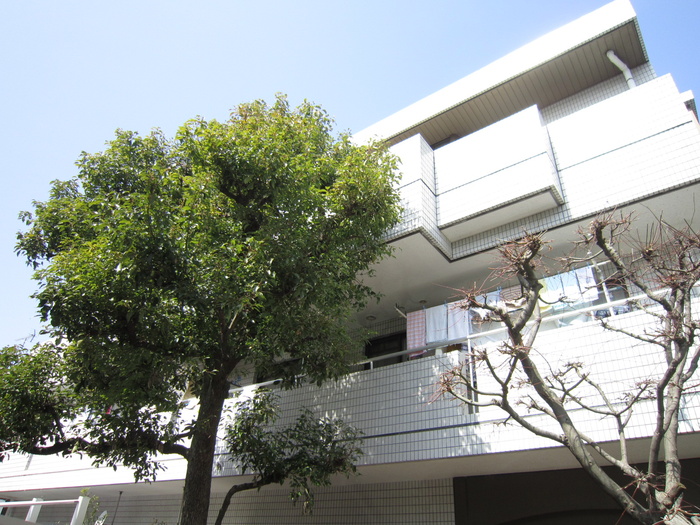 Building appearance