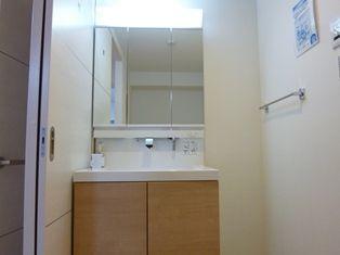 Wash basin, toilet. ~ New interior renovation completed ~