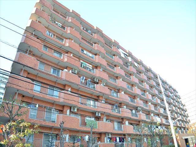 Local appearance photo. It is bright, south-facing