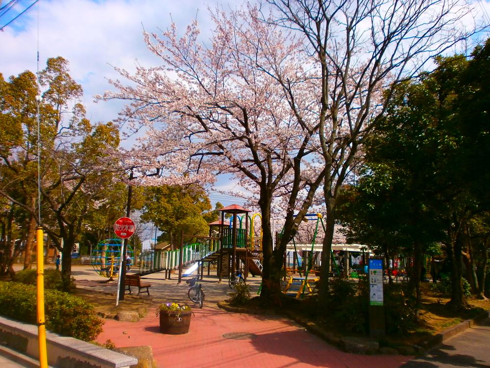 Other. Municipal eight stone park (03 May 2013) Shooting