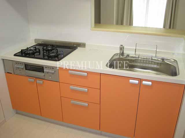 Kitchen.  [Face-to-face in the kitchen] System kitchen new replaced..