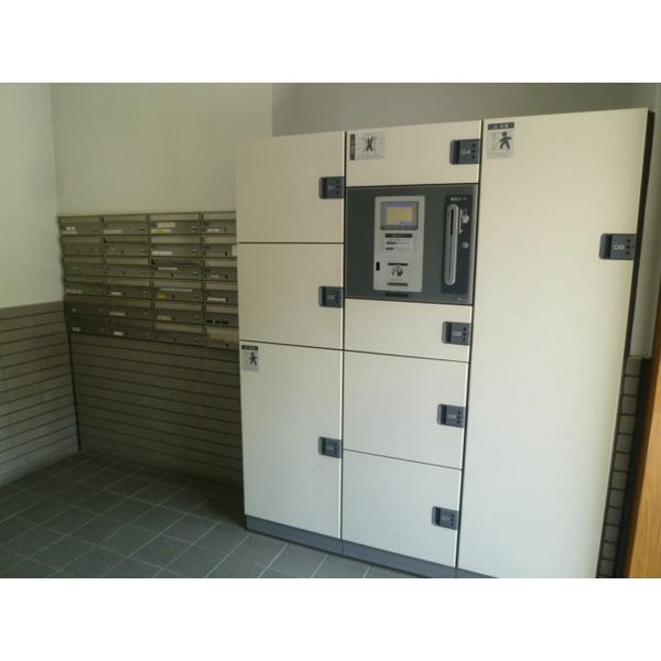 Other introspection. Delivery Box